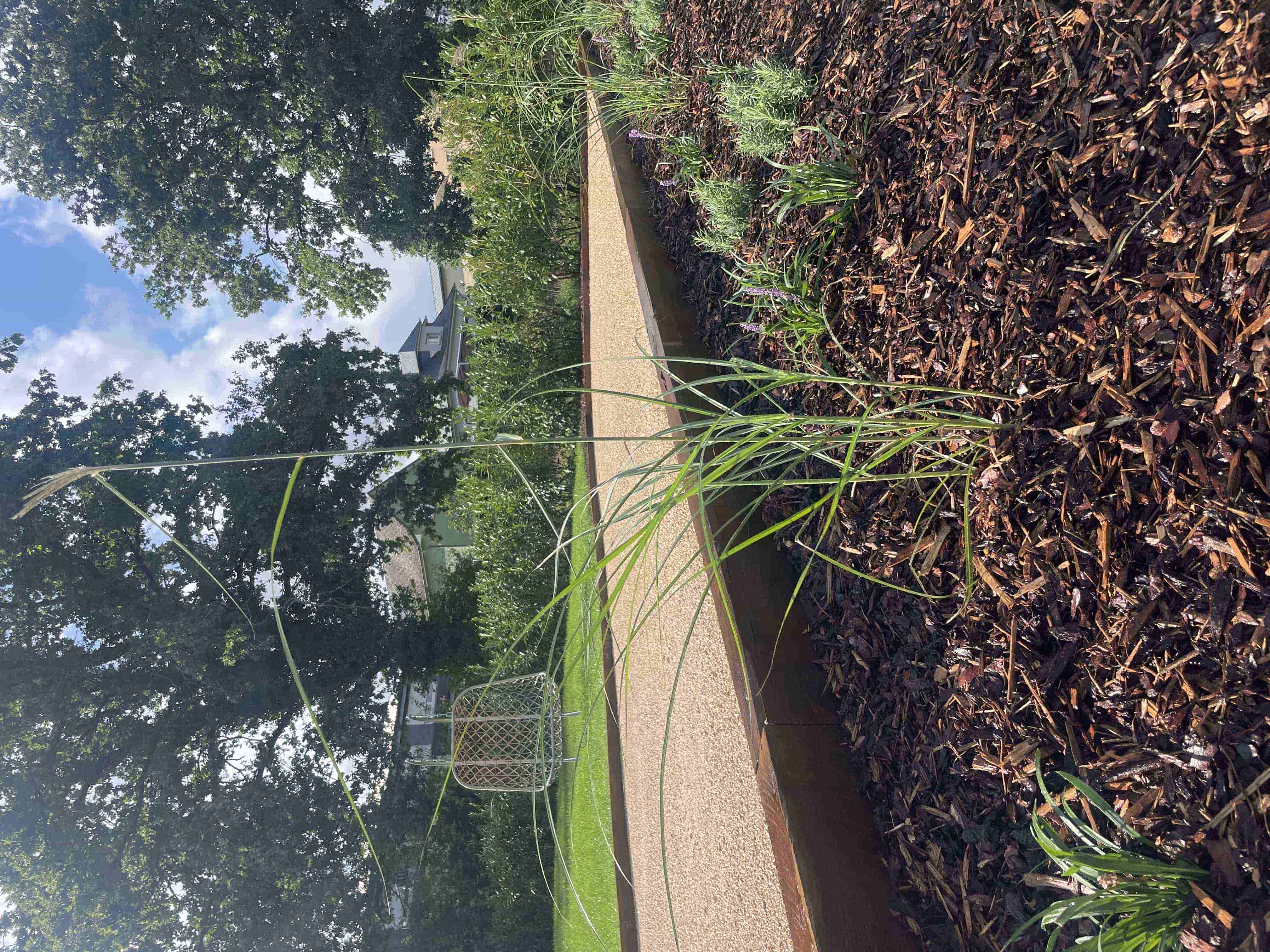 Réalisation paysagère