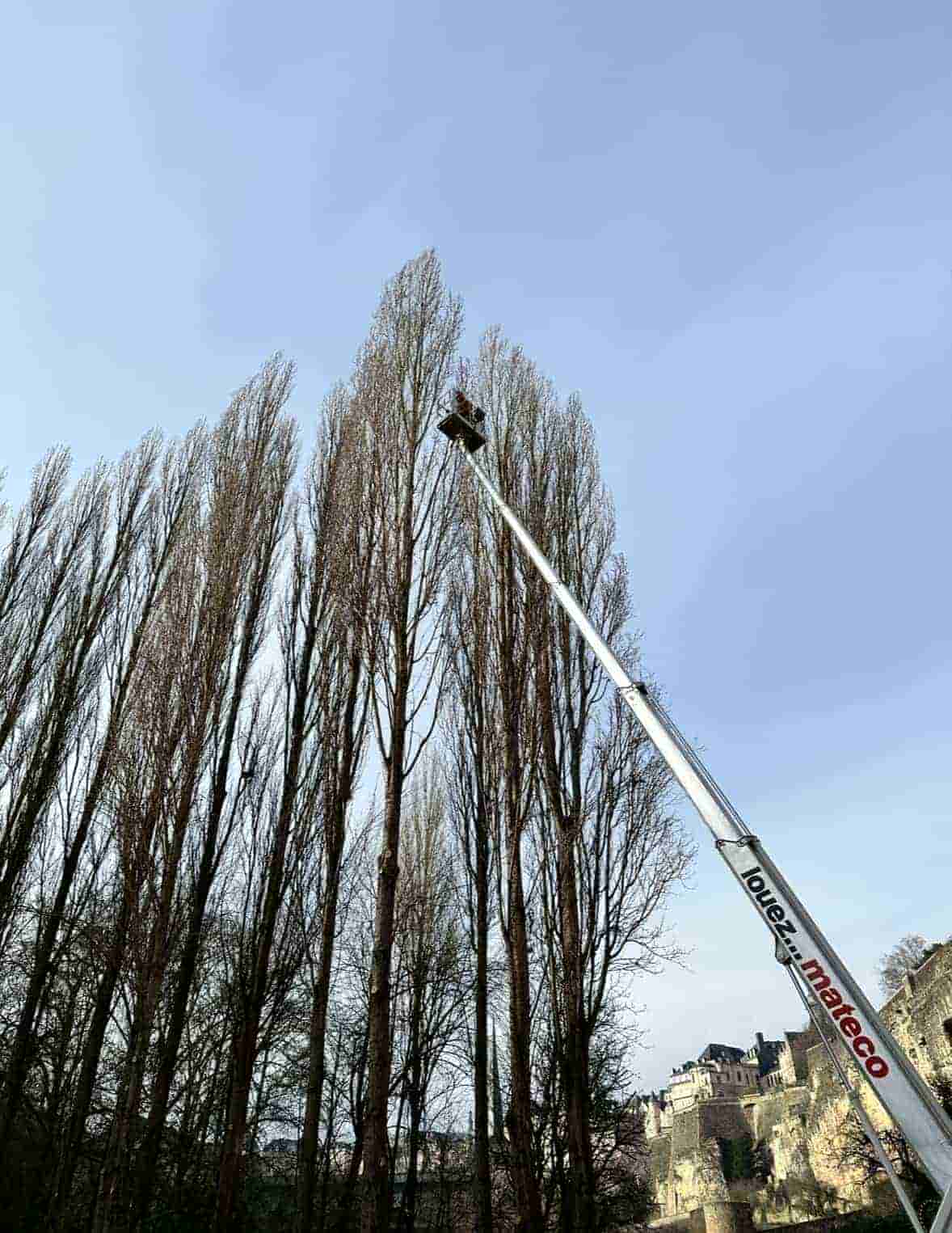 Réalisation paysagère