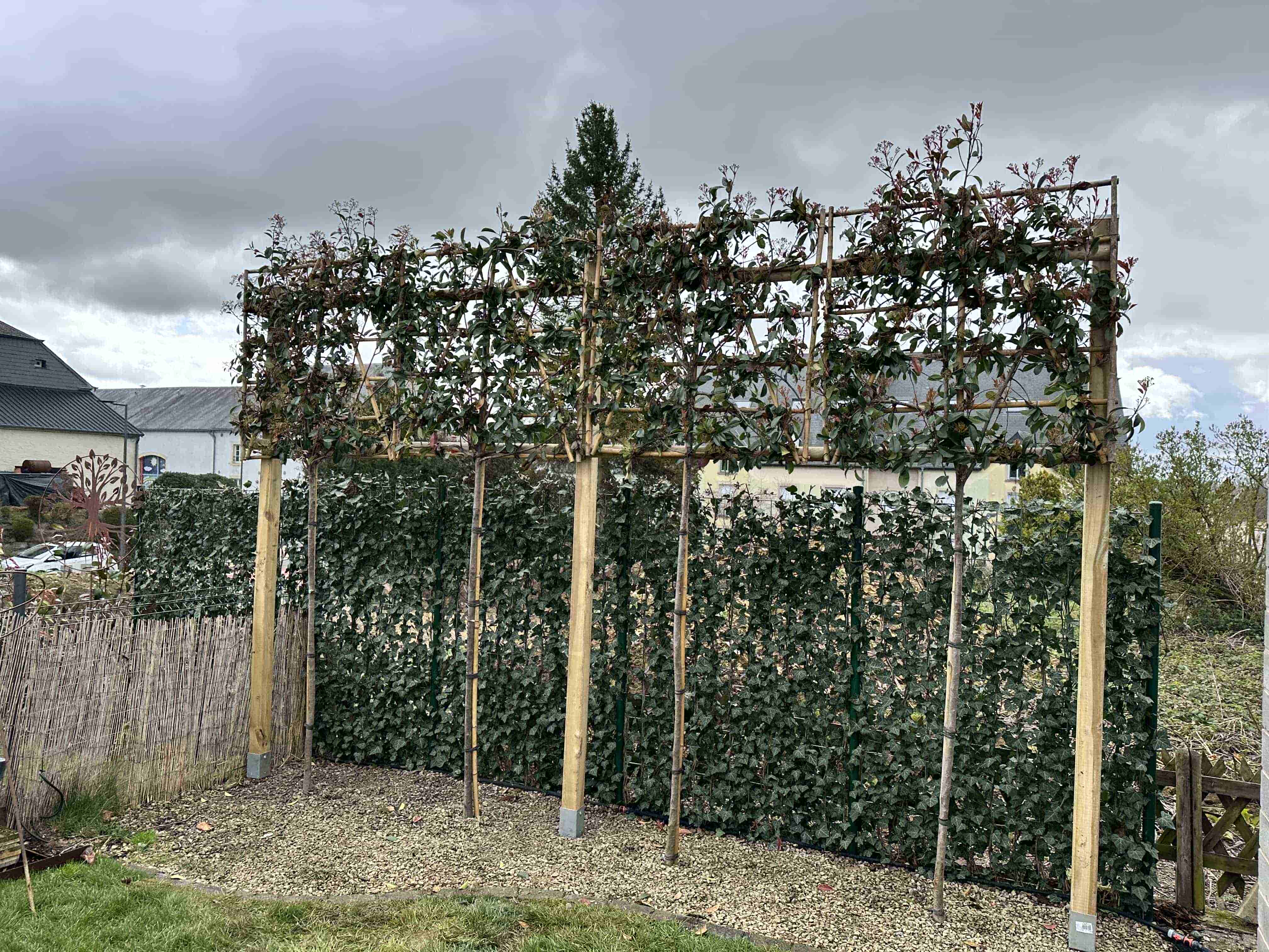 Réalisation paysagère