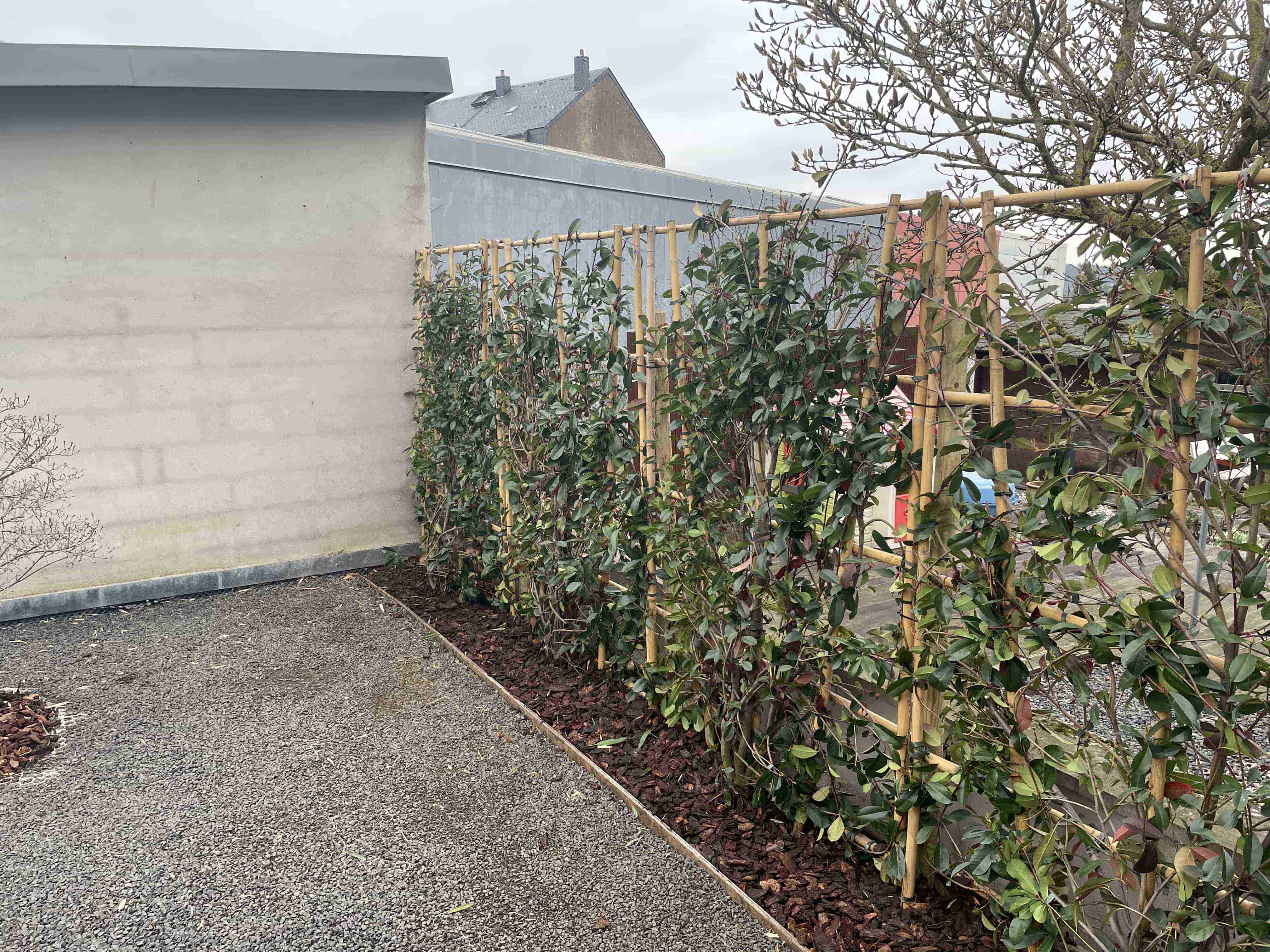 Réalisation paysagère