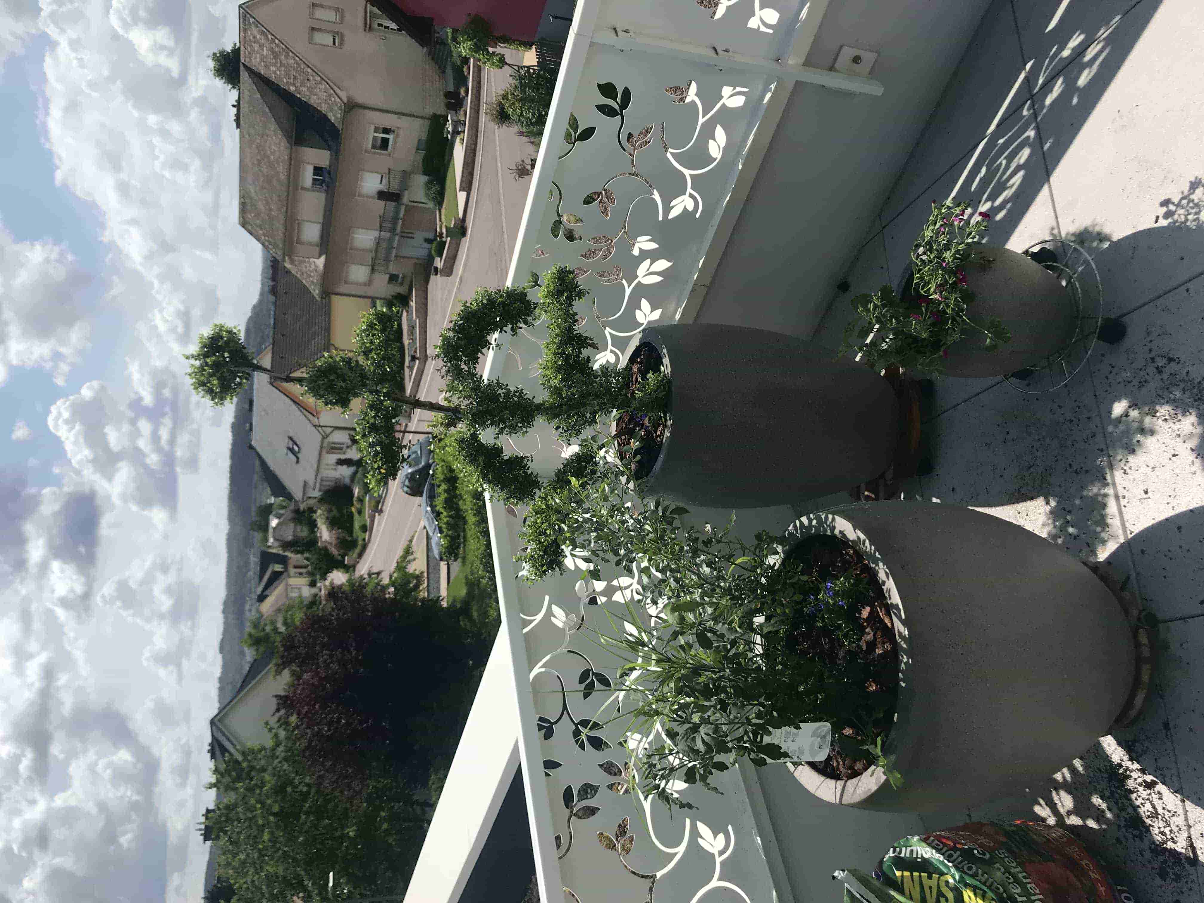 Réalisation paysagère